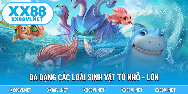 Đa dạng các loài sinh vật từ nhỏ - lớn