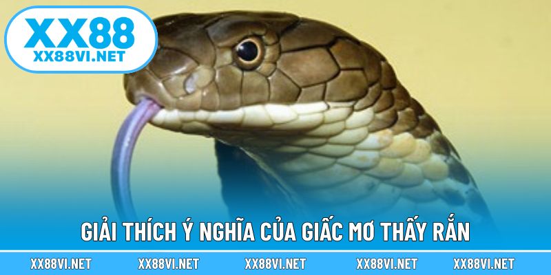 Giải thích ý nghĩa của giấc mơ thấy rắn